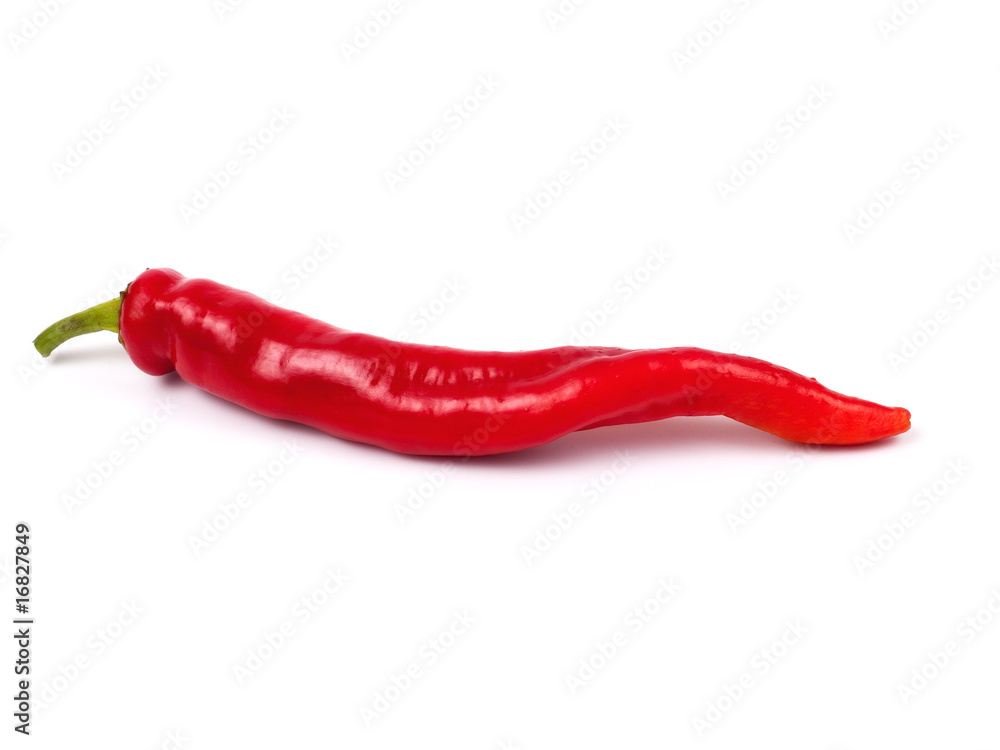 Red hot chili pepper