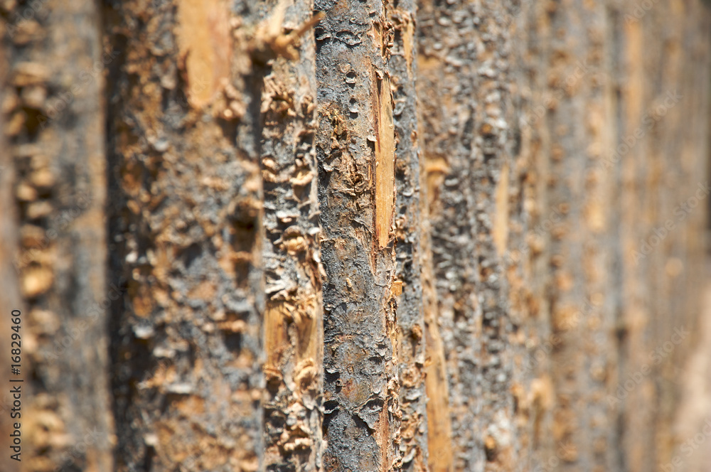 Wooden fence Wooden fence