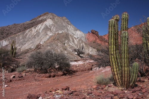 Cactus et Quebrada photo