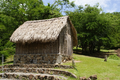 Hutte martinique