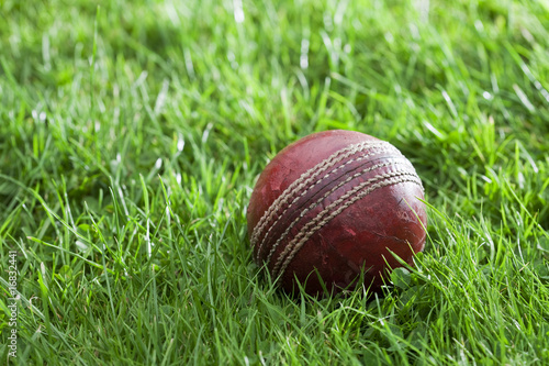 old well used cricket ball in a grass