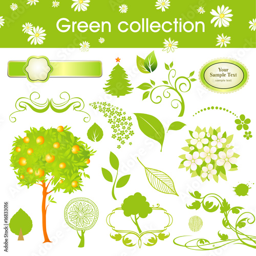 green collection of leaf and tree
