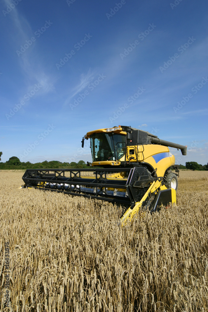 Fototapeta premium Combine Harvester