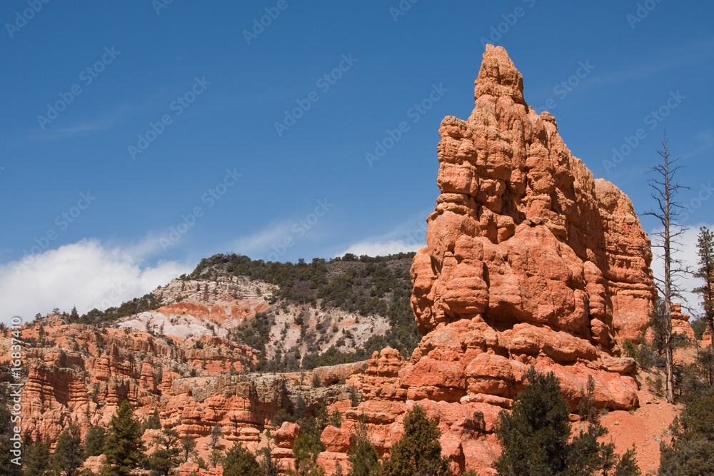Rock Formations in Red Canyon