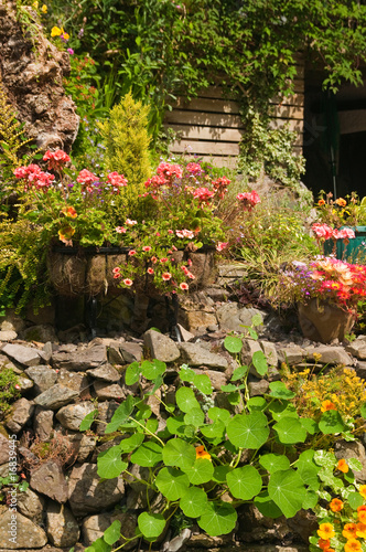 Rock Garden