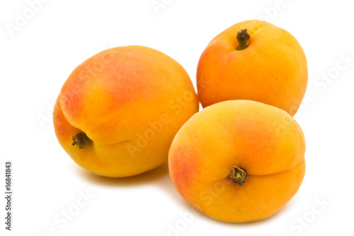 fresh apricot on white background .