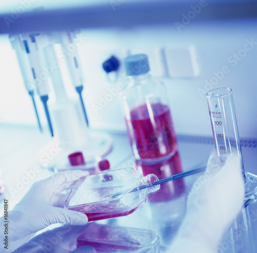 Blutkonserven Labor Chemie