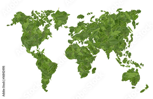 carte du monde feuilles d'arbre verte