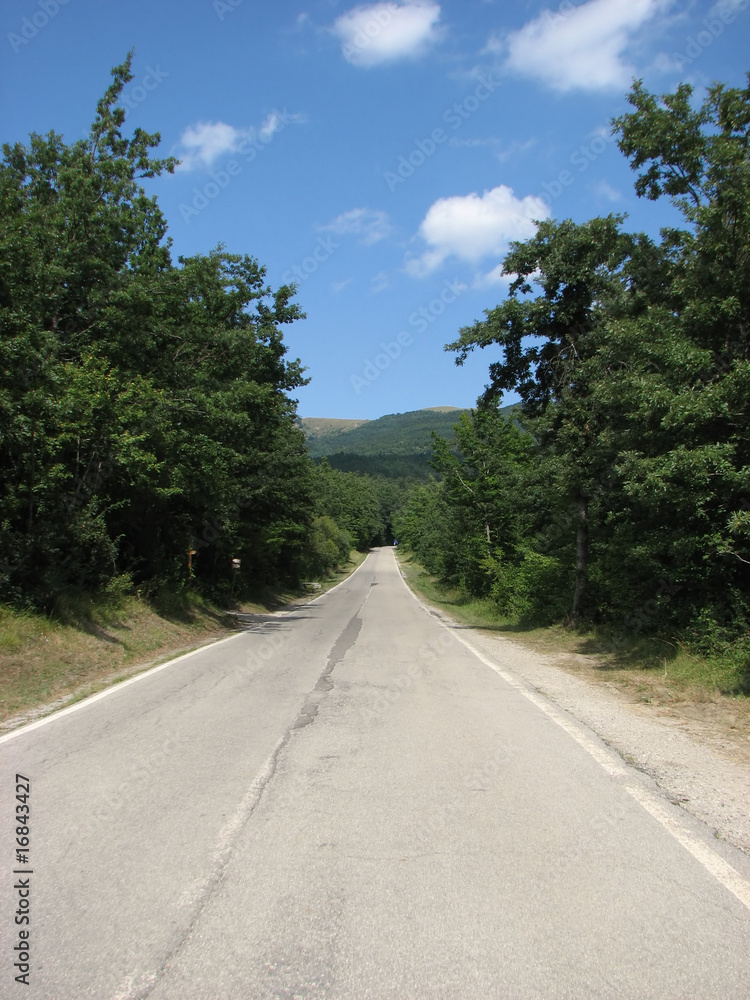 Fototapeta premium Street to nowhere - Strada verso il nulla