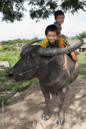 asiatische Kinder sitzen auf Wasserbüffel