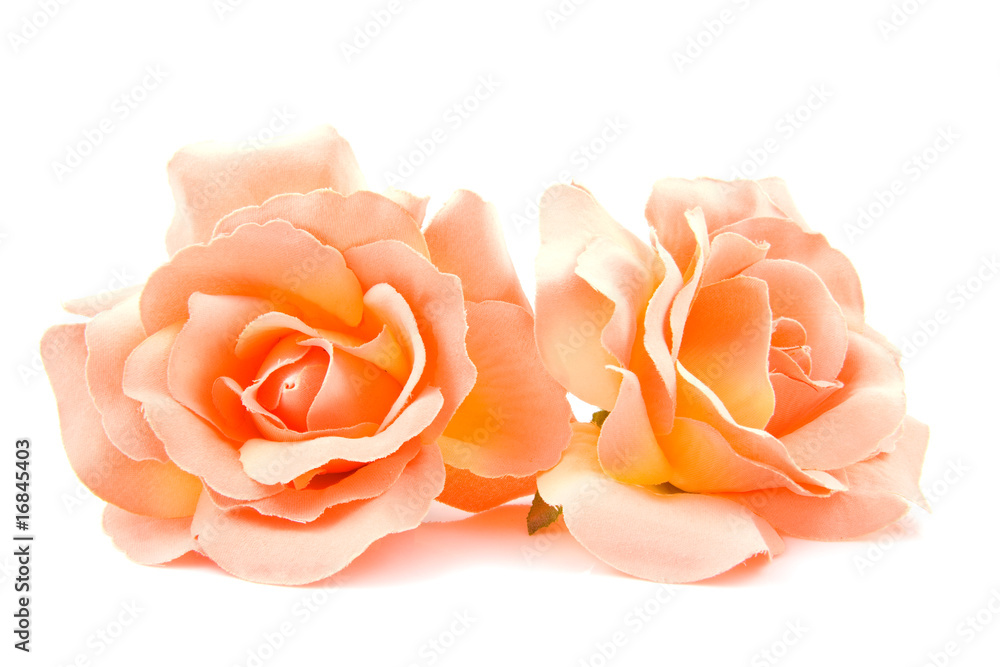 Fototapeta premium Jedwabne pomarańczowe róże nad białym tłem