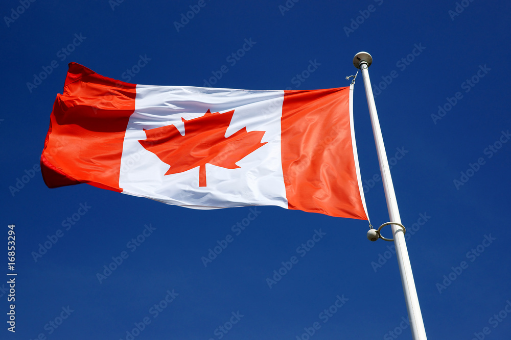 Naklejka premium canadien