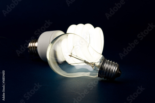 Compact Fluorescent Light bulb