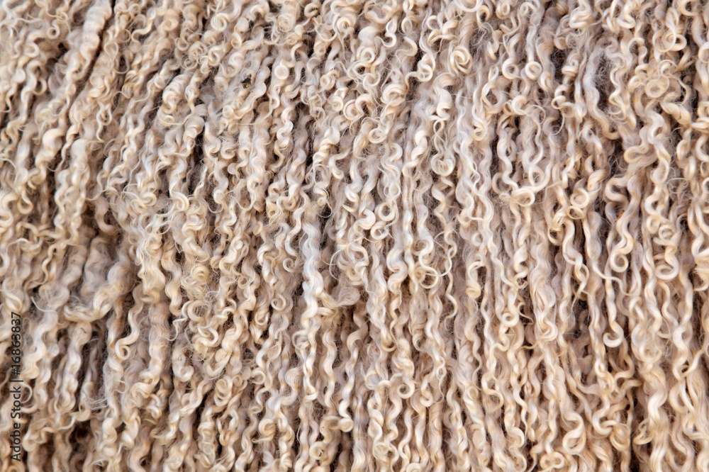 Angora goat wool background Stock Photo | Adobe Stock
