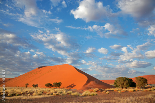 Grass, dune and sky, Sossusvlei, Namibia, southern Africa