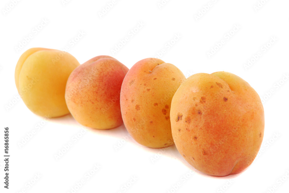 Apricot fruits Apricot fruits