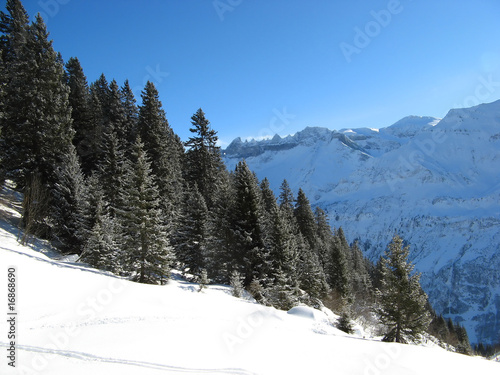 Winter in the alps