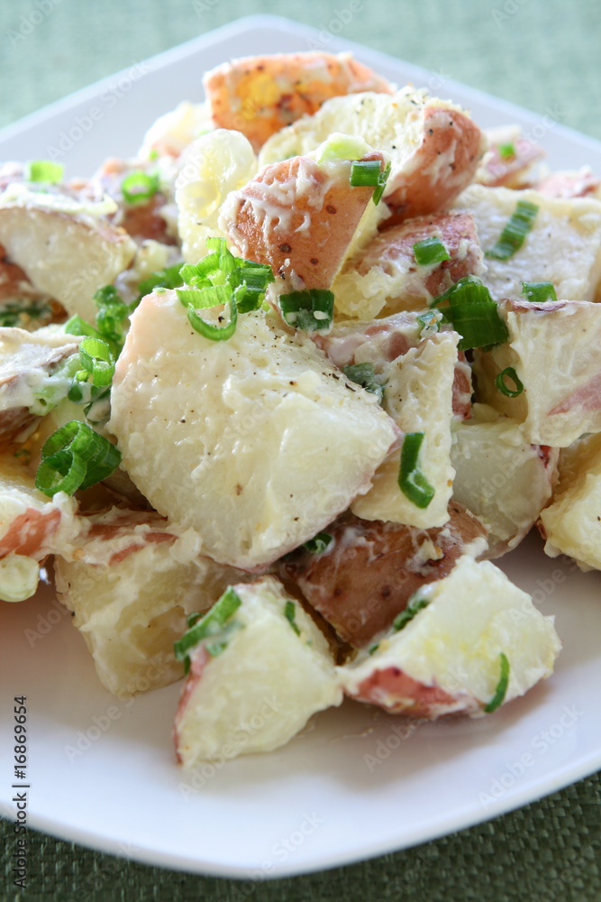 Potato Salad Potato Salad