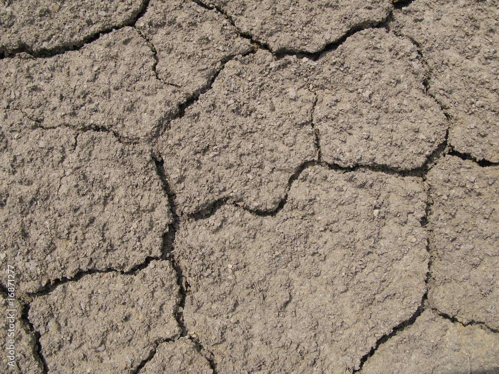 dry earth texture dry earth texture