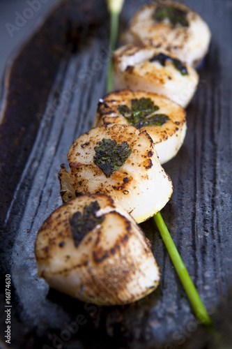 Seared Scallop Skewer