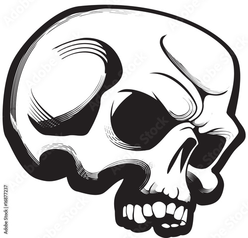Plakat Skull