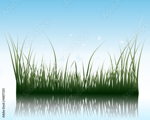 grass background