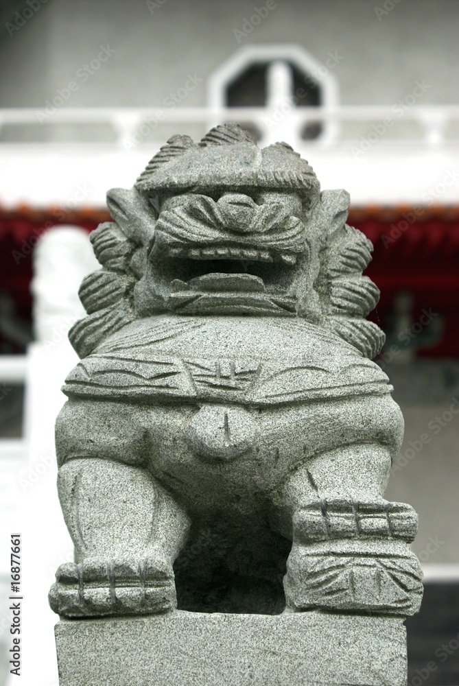 Fototapeta premium singa