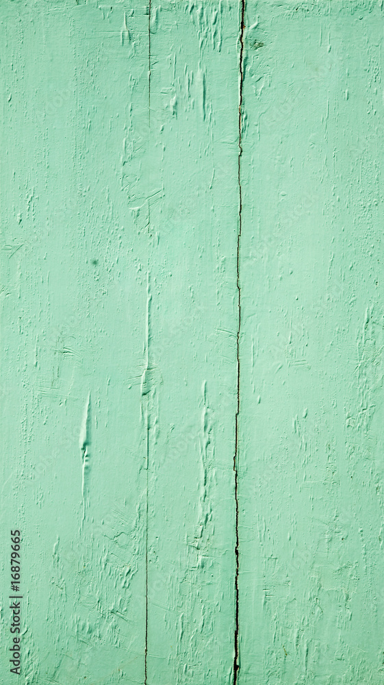 Obraz premium Paintless