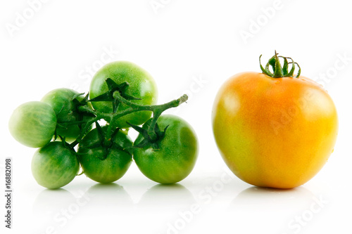 Ripe Wet Yellow and Green Tomatoes Isolated on White