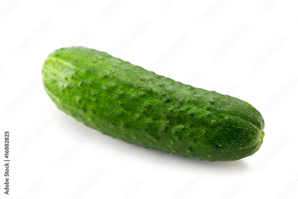 cucumber cucumber
