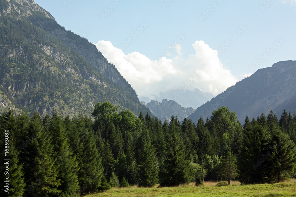 alps alps