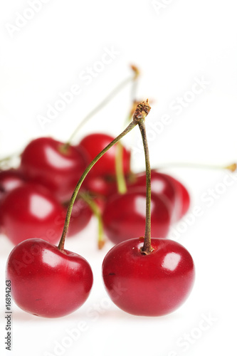 cherries on white background © Maygutyak