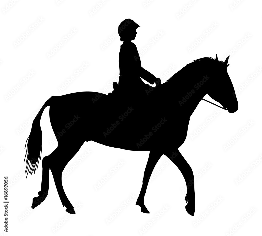 silhouette equestrian horse rider icon