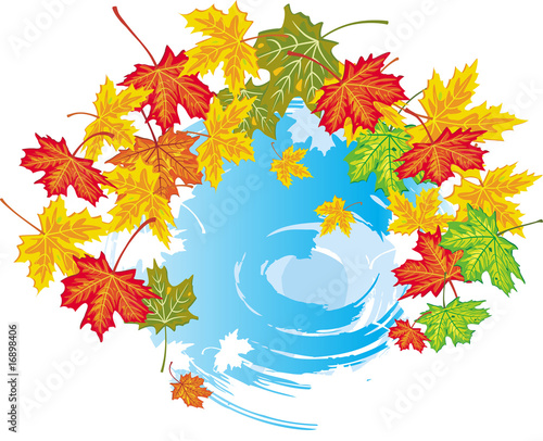 Colorful frame from maple leaves