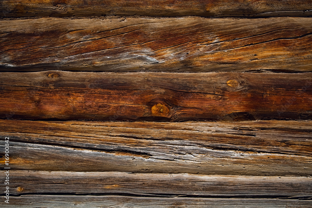 Fototapeta premium Old wood cut texture