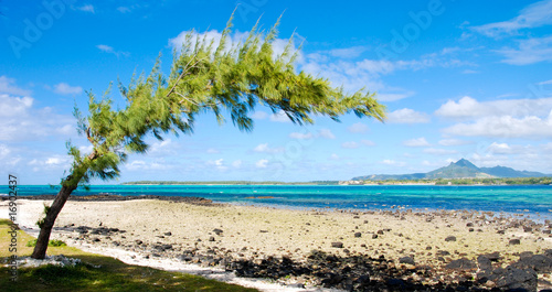 tropical beach in Mauritius © greenlite
