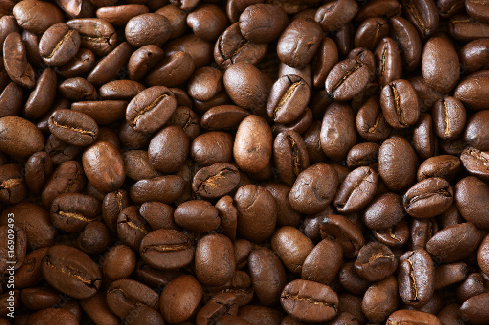 Fototapeta premium Coffee beans