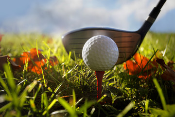 Golf club and ball in grass
