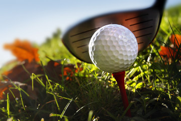 Golf club and ball in grass