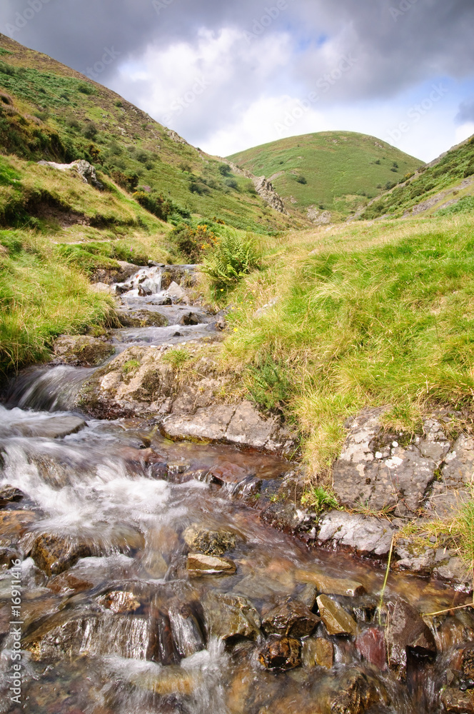Natural Stream Natural Stream