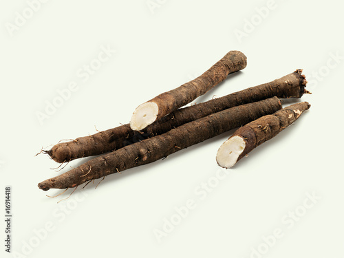 scorzonera , salsify (Schwarzwurzeln)