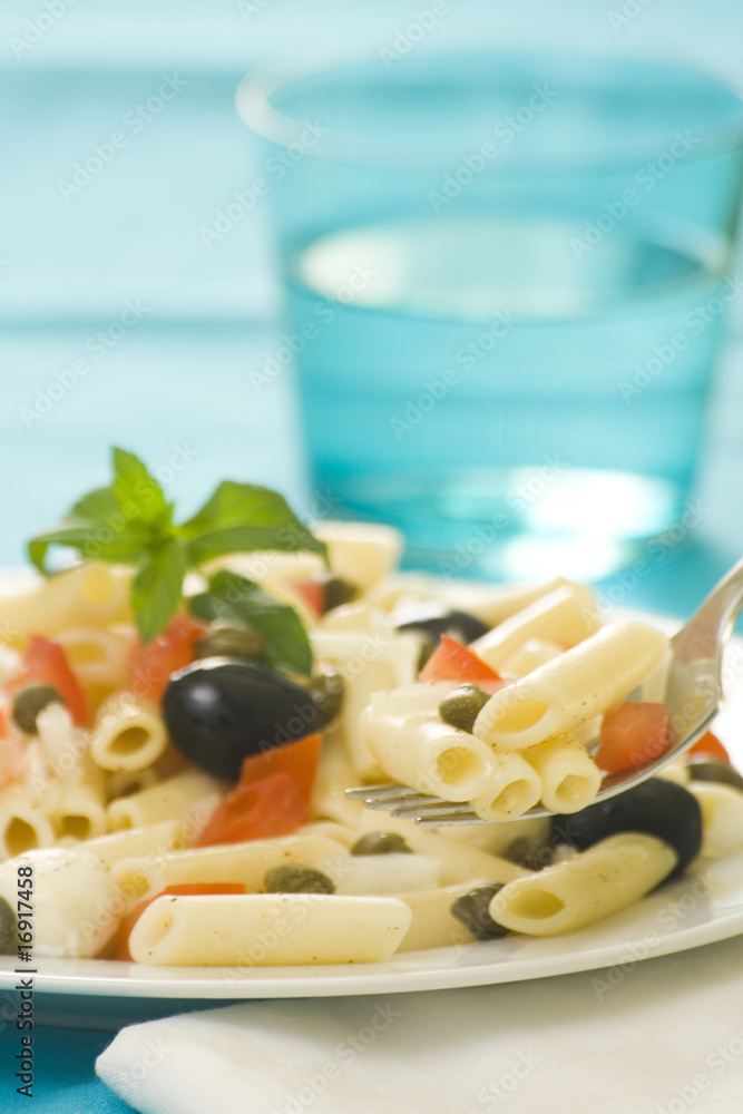 fresh macaroni mozzarella olives capers tomatoes salad fresh macaroni mozzarella olives capers tomatoes salad
