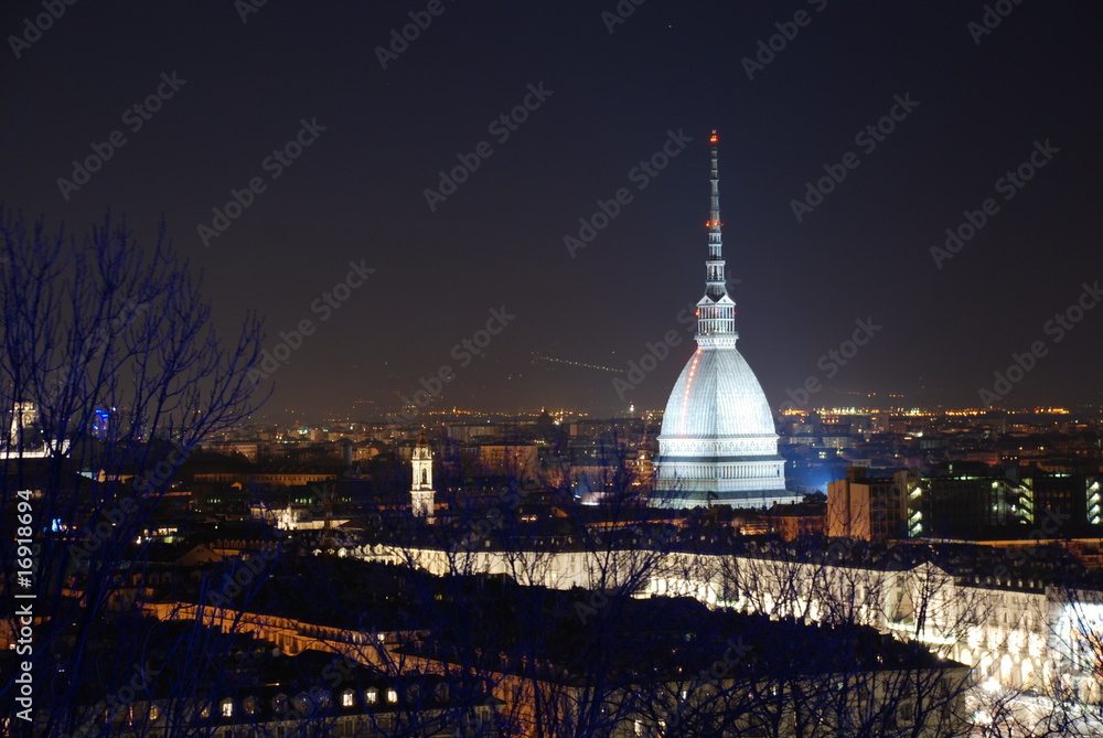 Panorama notturno di Torino
