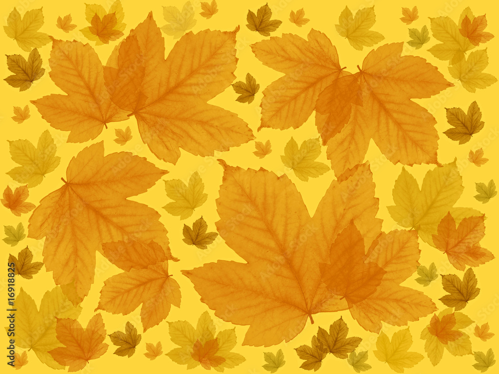 herbst,hintergrund herbst,hintergrund