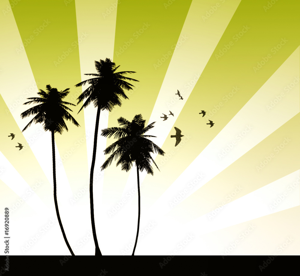 Abstract palm & summer background