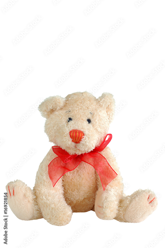 Obraz premium teddy bear