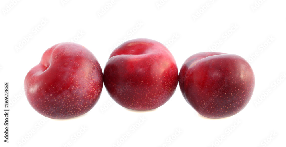 Red large plums  isolated.