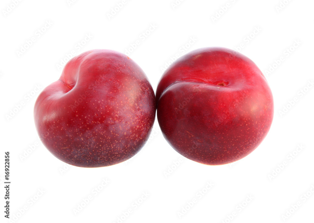 Red plum  isolated.