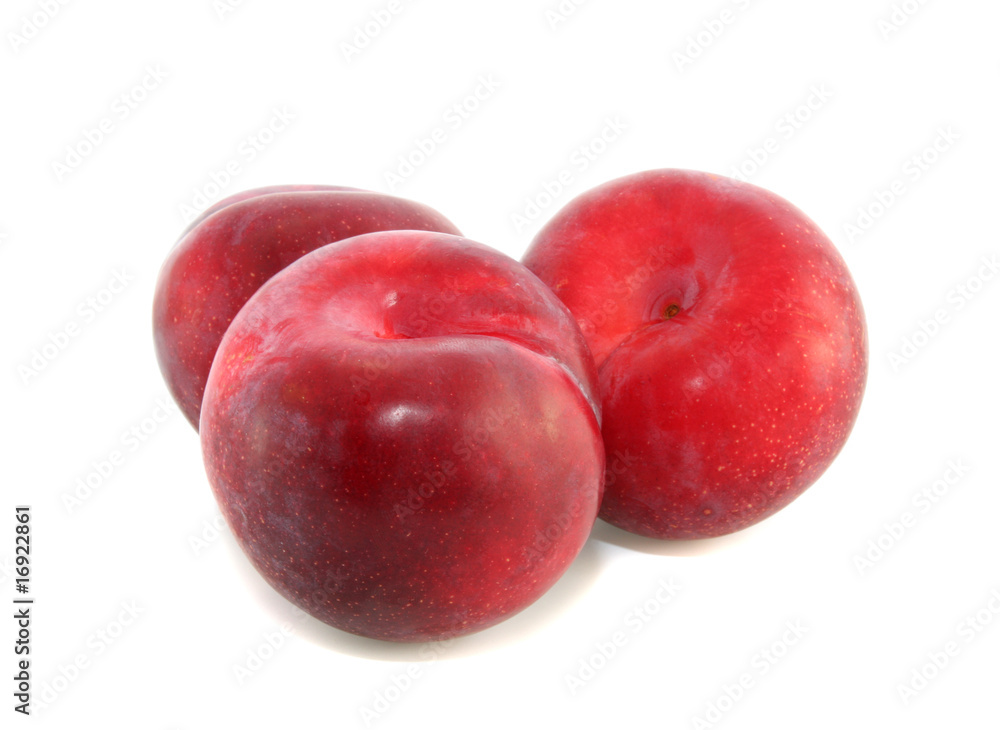 Red  plum isolated.