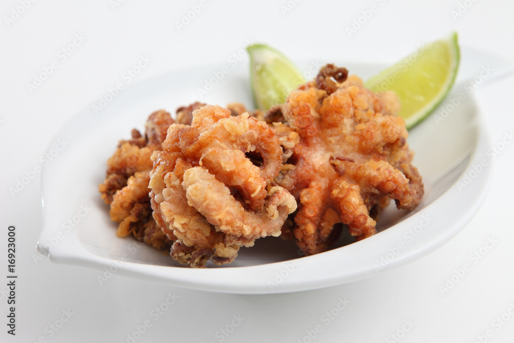 OCTOPUS OCTOPUS